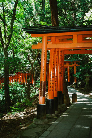 olympus µ[mju:]-iii 120 fujifilm 400 fushimi inari taisha sembon torii, kyoto, jpn